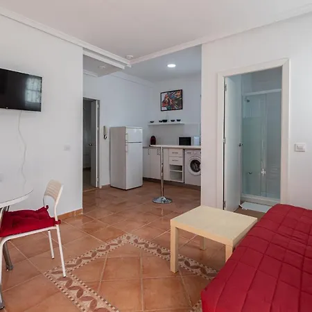 La Gitanilla Terrace 公寓 *