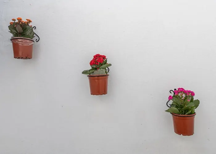 La Gitanilla Terrace